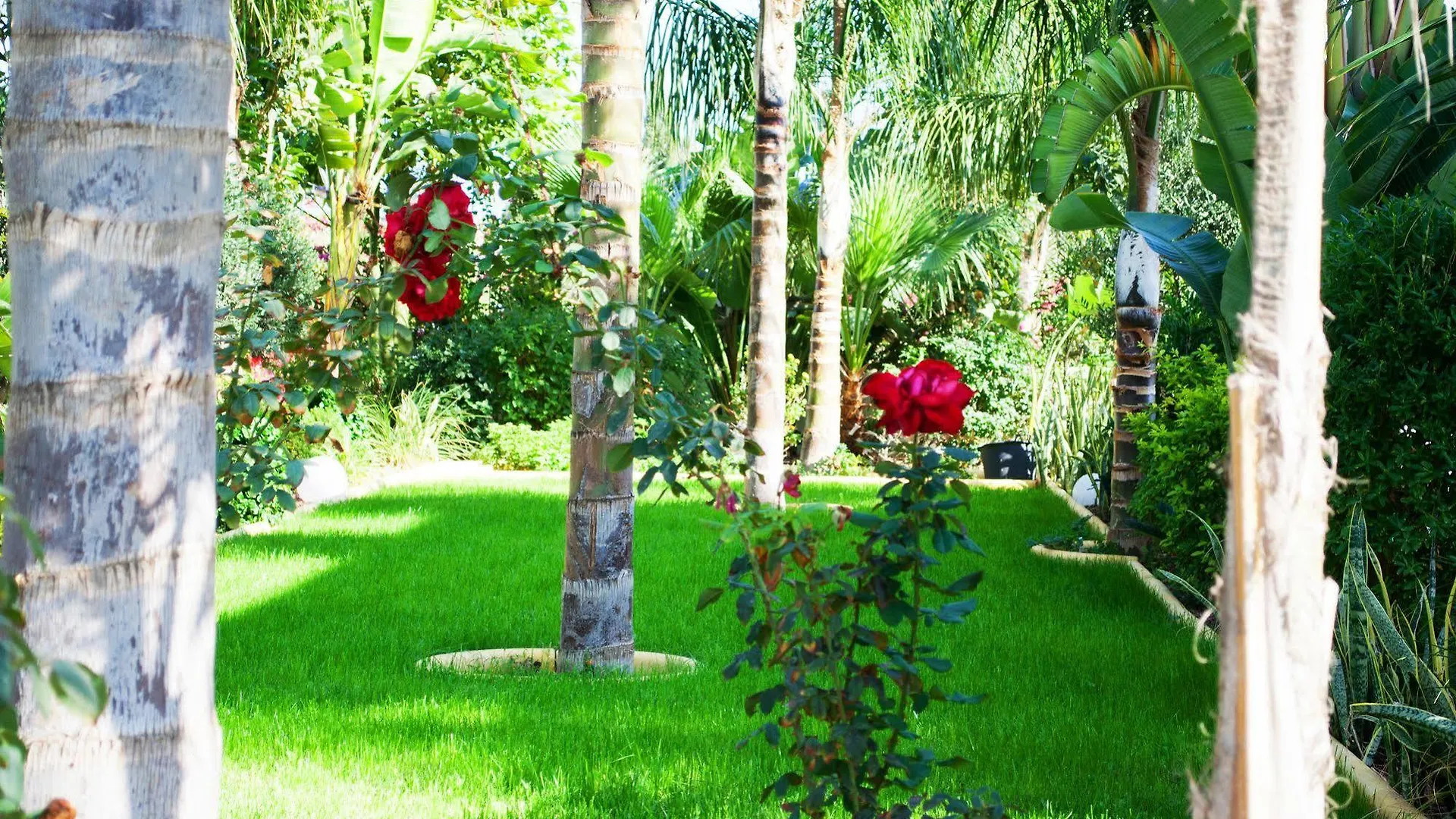 Demetra Villa Agia Napa